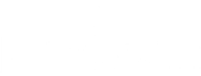 thenewboar