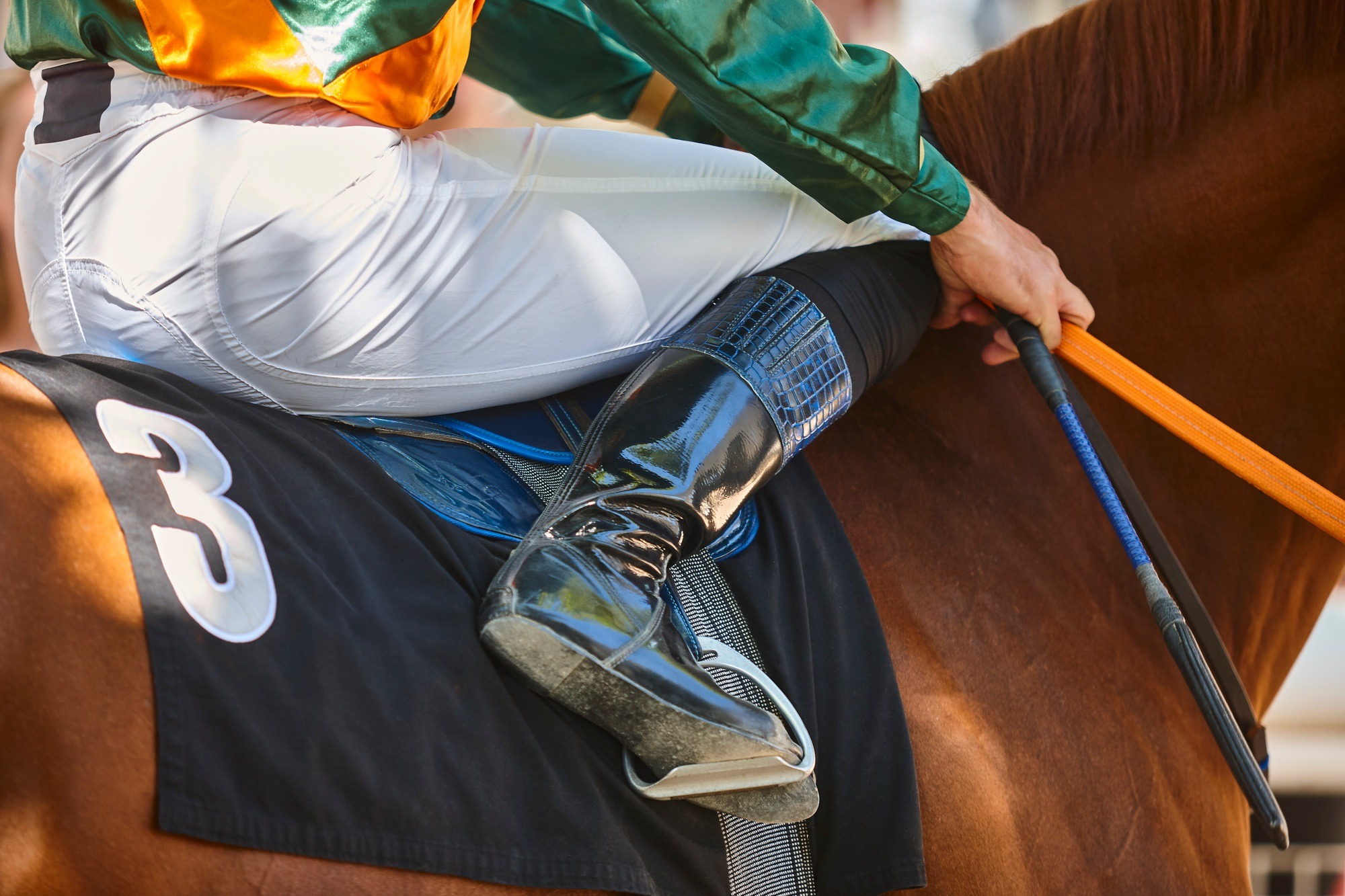 Race horse with jockey detail. Purebred in the hippodrome. Turf